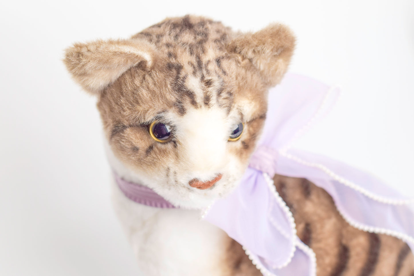 BowTie - Pearls of the Violet Ocean